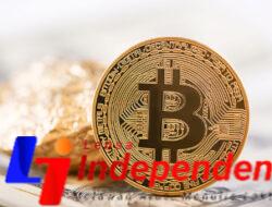 The Pros and Cons of Switching to a Fully Digital Payment Wallet