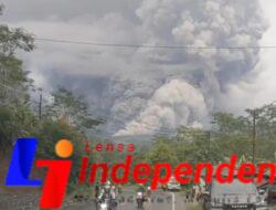 Gunung Semeru Erupsi, Awan Panas Meluncur Hingga 7 Kilometer, Warga Diminta Tingkatkan Kewaspadaan