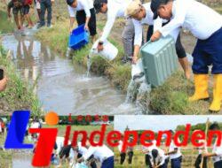 Program Ketahanan Pangan Berlanjut, Komoditas di Lahan SAE Pakis Lapas Banyuwangi Semakin Beragam