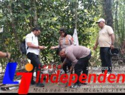 POLSEK KUALUH HULU LAKUKAN KEGIATAN GREBEK SARANG NARKOBA DI SIDUA- DUA