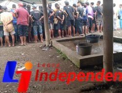 Sabung Ayam Ilegal Diduga Beroperasi Bertahun-tahun di Desa Klampok, Warga Pertanyakan Penegakan Hukum Polresta Blitar