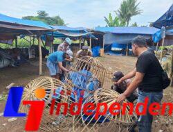 Polresta Banyuwangi Tindak Tegas Dugaan Judi Sabung Ayam, Arena dibongkar