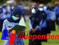 PPPK di Sejumlah Daerah Terancam PHK, BKN Merespons  judul