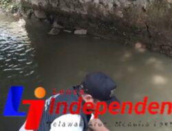 Bukan Sekadar Janji: Ketua DPC PSI Semarang Barat Turun Langsung Tebar Bibit Ikan Tiap Bulan di Banjir Kanal Barat