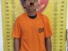 Sempat Buron, Polres Sergai Berhasil Amankan Pelaku Pencabulan Anak di Sergai saat Lansir Sawit