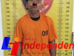 Sempat Buron, Polres Sergai Berhasil Amankan Pelaku Pencabulan Anak di Sergai saat Lansir Sawit