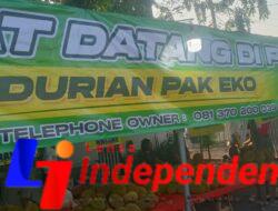 Durian Pak Eko: Kualitas Rasa Sebagai Prinsip Utama — “Tak Enak, Tak Perlu Bayar